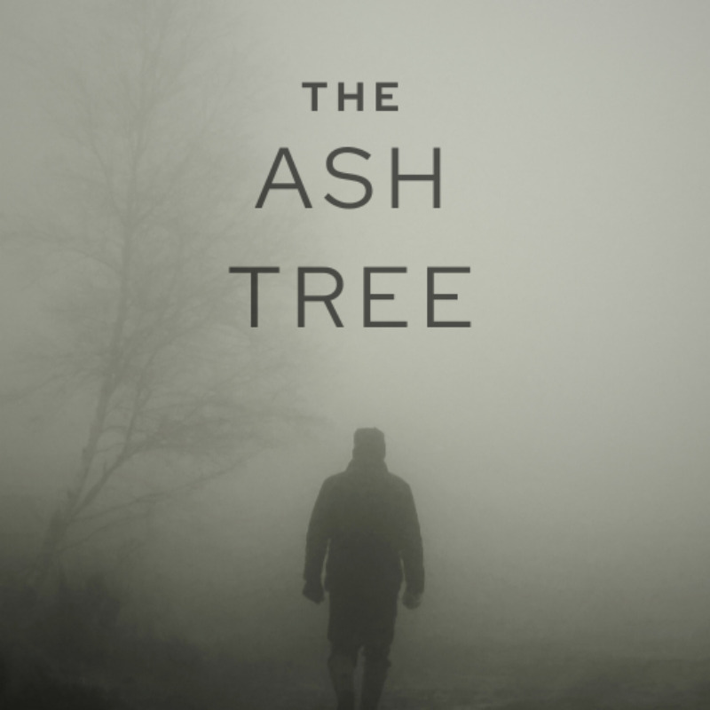 Story Cover