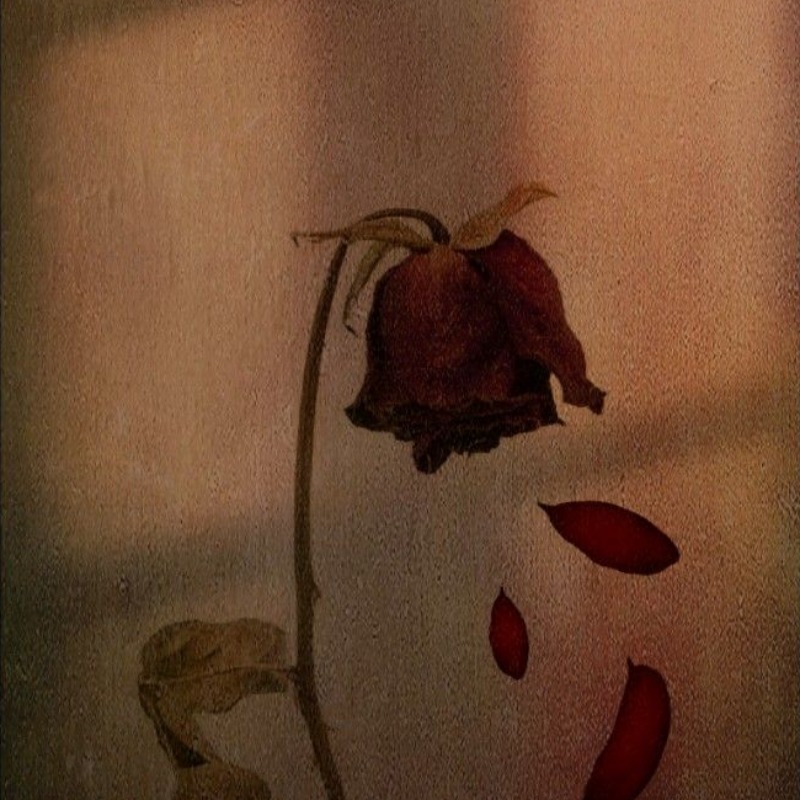 Story Cover